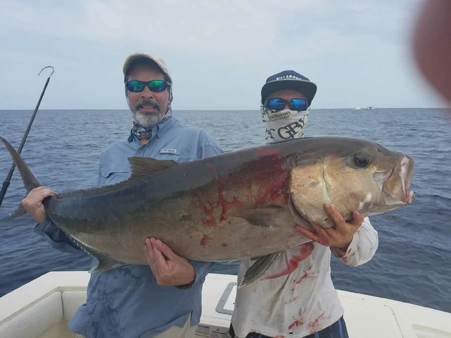 Key Largo Fishing Charter Report Key Largo Sport Fishing