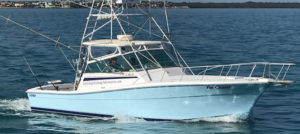 Key-Largo-Fishing-Charters-Fin-Chaser