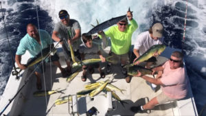 dolphin-fishing-key-largo