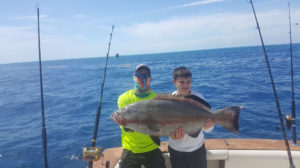 dolphin-fishing-key-largo