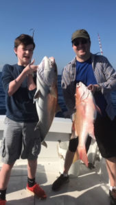 dolphin-fishing-key-largo