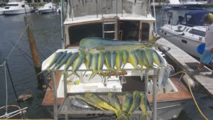 Key Largo Charters