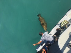 Key-Largo-Fishing