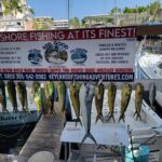 key largo fishing charters