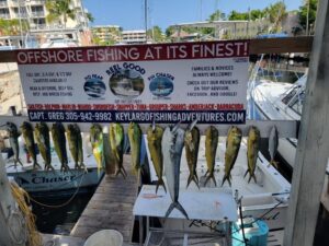 key largo fishing charters